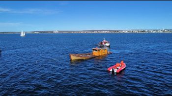 El operativo en las aguas de Puerto Madryn se hizo el domingo a la mañana y fue el primer paso de un ambicioso proyecto de Chubut. El operativo en las aguas de Puerto Madryn se hizo el domingo a la mañana y fue el primer paso de un ambicioso proyecto de Chubut.