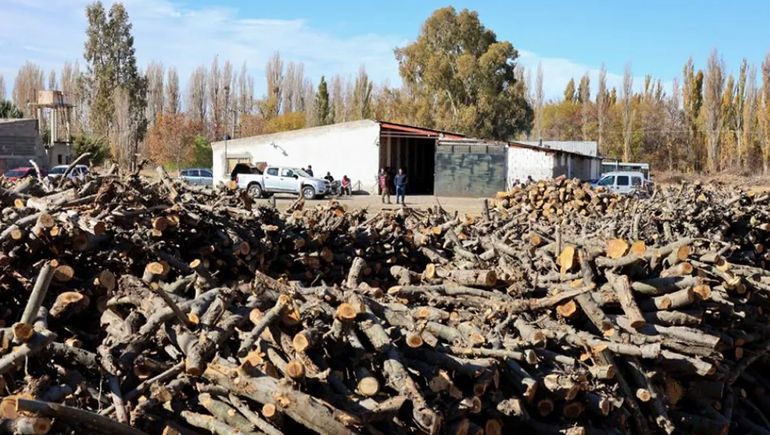Plan Calor: comenzó la entrega de leña en los barrios neuquinos