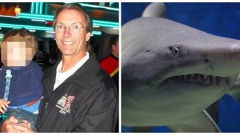 un tiburon le arranco una pierna y fallecio un tiburon le arranco una pierna y fallecio