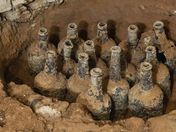 insolito: descubren 29 botellas con cerezas de mas de 200 anos insolito: descubren 29 botellas con cerezas de mas de 200 anos