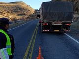 Un camión varado cortó el tránsito en la ruta 40 a la altura de La Rinconada