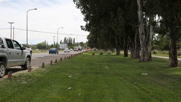 Para evitar tirar los árboles y mantener el paseo