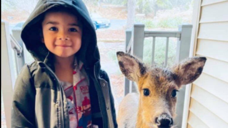 Viral en Facebook: un nene salió a caminar y regresó a casa con un venado