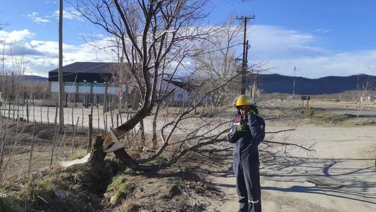 Árboles caídos en Taquimilán. Árboles caídos en Taquimilán.