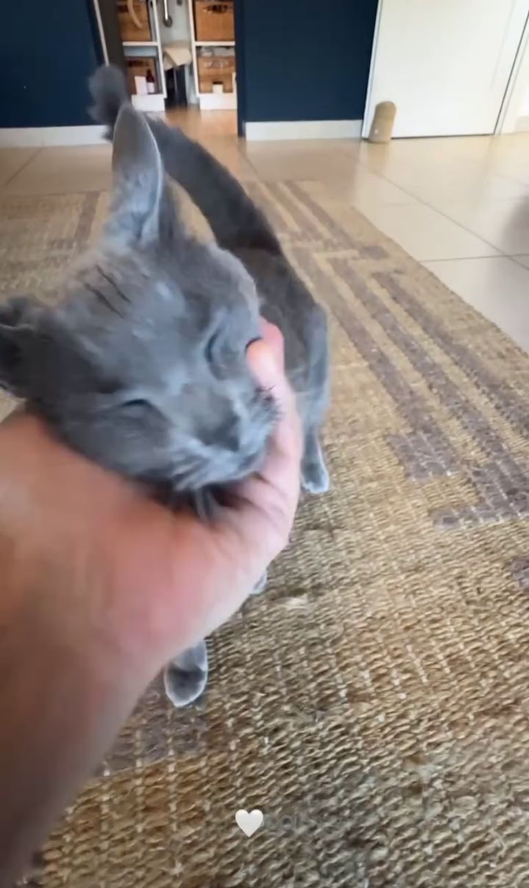 Nico Vázquez y su gato Nico Vázquez y su gato