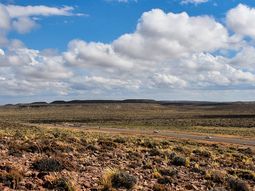 patagonia: el sol, el agua y vaca muerta amplian las fronteras agropecuarias patagonia: el sol, el agua y vaca muerta amplian las fronteras agropecuarias