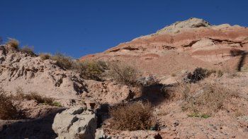 Derrumbe de bardas en Calle Moritan - atras de cancha de Maronese (5).JPG