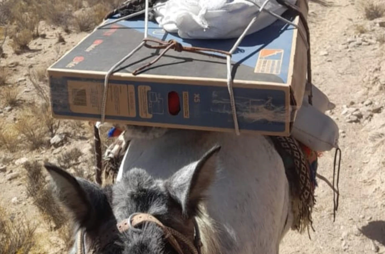 Intendente mandó un televisor en mula a un paraje para que los niños vean el Mundial