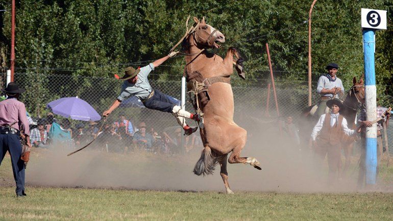 Domador en la Fiesta del Puestero en Junin de los Andes.