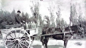 Francisco Gracia Santolaria en su carro lechero Gentileza Graciela Mariana Gracia