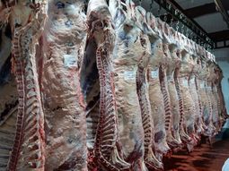 EE. UU. apuesta por la carne argentina: un acuerdo que promete millones en exportaciones. EE. UU. apuesta por la carne argentina: un acuerdo que promete millones en exportaciones.