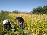 Las mujeres rurales se reúnen en Santa Fe.
