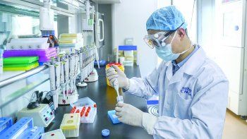 se registraron 10 nuevas muertes por covid-19 en el pais se registraron 10 nuevas muertes por covid-19 en el pais