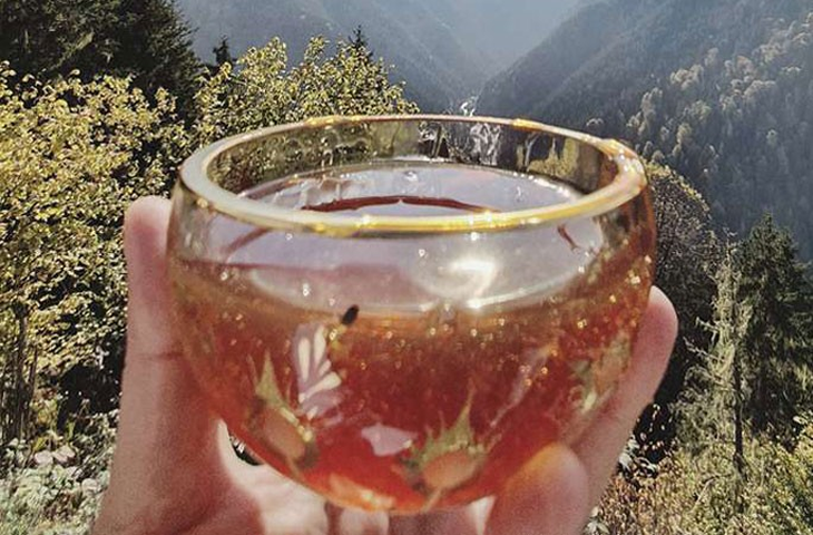 El Consejo Científico del Instituto de Alimentos de Turquía examina la miel recolectada. (Foto: gentileza) El Consejo Científico del Instituto de Alimentos de Turquía examina la miel recolectada. (Foto: gentileza)