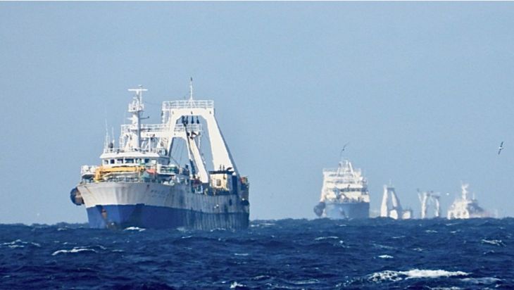 El proyecto modifica la Ley Federal de Pesca para publicar permisos