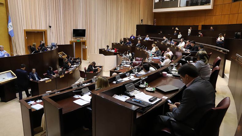 El trabajo en comisiones podría volver a ser virtual en la Legislatura / Foto
