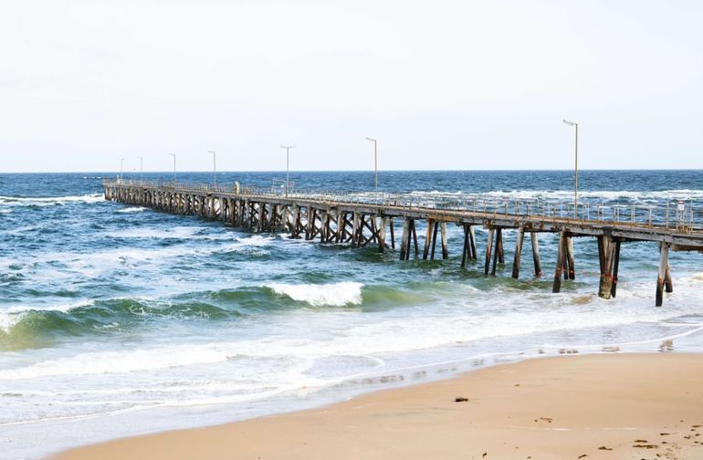 Presentan un plan millonario para combatir la proliferación de algas tóxicas en el agua en Australia Presentan un plan millonario para combatir la proliferación de algas tóxicas en el agua en Australia