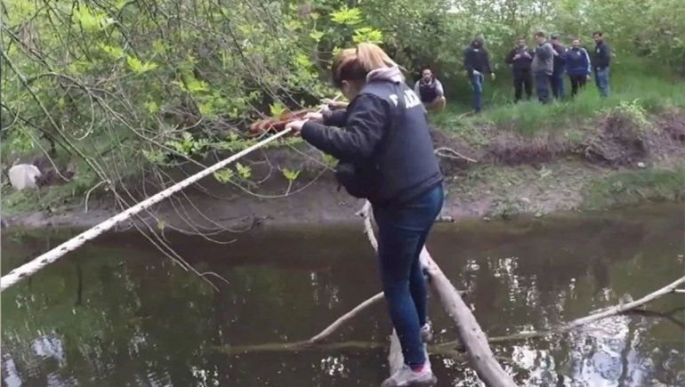 Una banda narco cruzaba un río en tirolesa para vender drogas