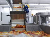 La industria de la sidra se volvió a posicionar con fuerza en el mercado.
