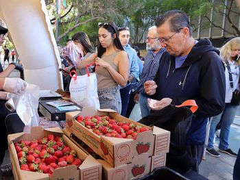 Las capacitaciones incluyen el trabajo en ferias.