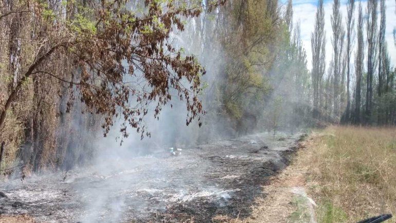 Bomberos de Centenario apagaron 135 incendios en tres meses