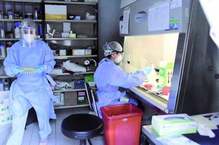 Desde el 20 de marzo se hacen los procesamientos de los hisopados en el Laboratorio Central.