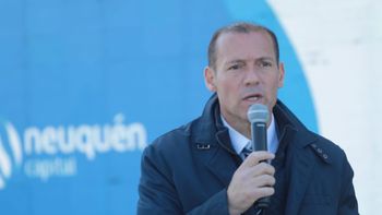 gutierrez el cisne.jpg