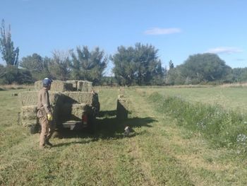 productores de picun leufu reclaman soluciones urgentes para el riego