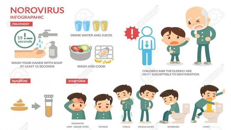 Norovirus y su prevención.