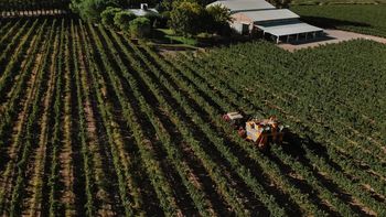 bertoya: cumplimos el sueno de ser referentes en la vitivinicultura nacional