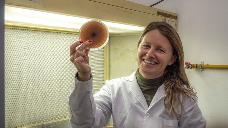 Andrea Astoreca es la investigadora referente de la línea de investigación. Andrea Astoreca es la investigadora referente de la línea de investigación.