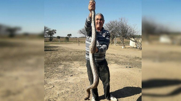 Una serpiente estaba enroscada en un calefactor