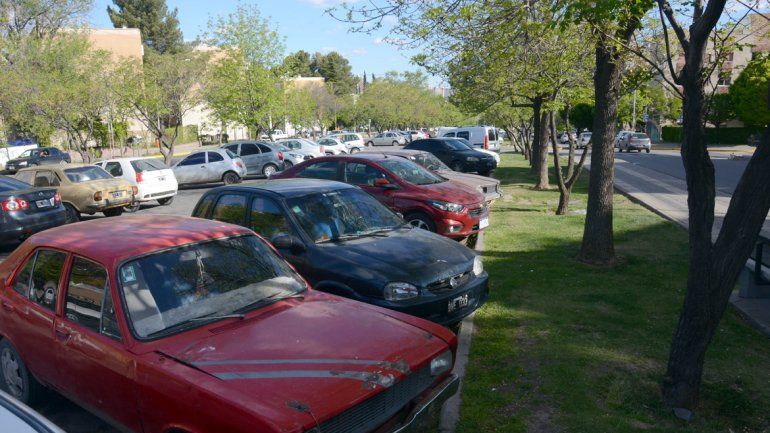 Personas con discapacidad deberán sacar nueva credencial para el estacionamiento medido