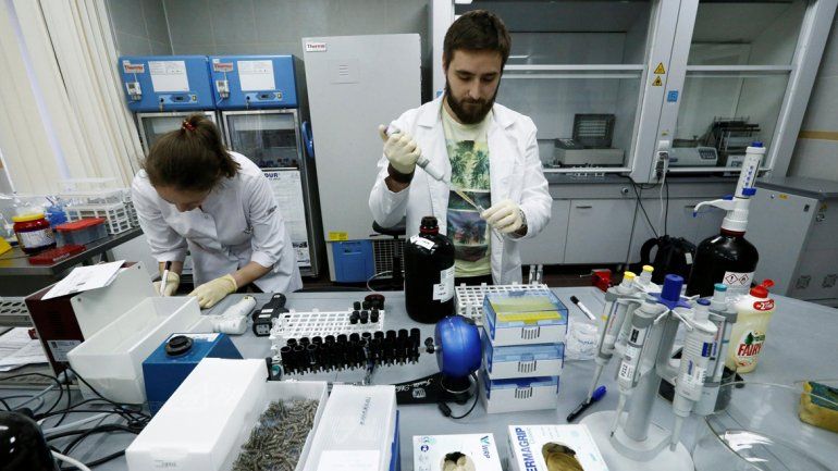 Científicos catalanes y australianos inventaron una máquina capaz de ponderar la edad