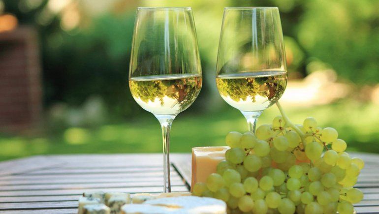 Chardonnay, un blanco perfecto para el verano