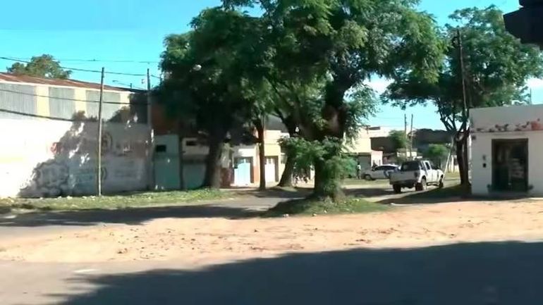 El árbol donde estaba el enjambre de abejas que mató al rosarino. Foto: Google. El árbol donde estaba el enjambre de abejas que mató al rosarino. Foto: Google.