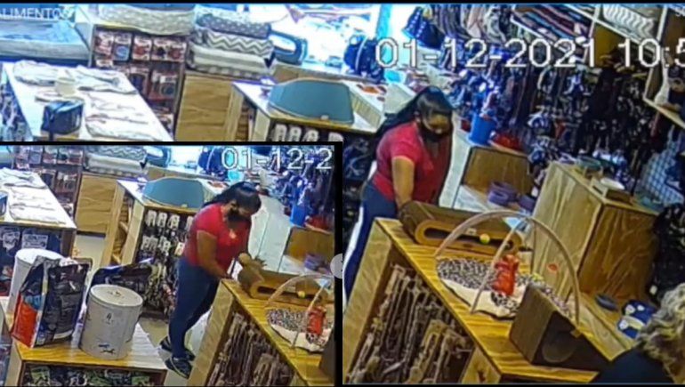 Pareja mechera robó en una boutique de mascotas y quedó escrachada en video