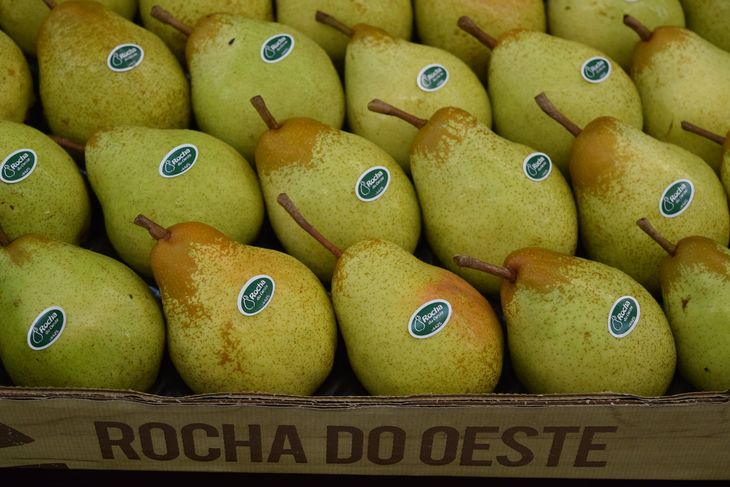 El mercado chino es considerado uno de los más exigentes y al mismo tiempo más prometedores en términos de volumen y rentabilidad. El mercado chino es considerado uno de los más exigentes y al mismo tiempo más prometedores en términos de volumen y rentabilidad.