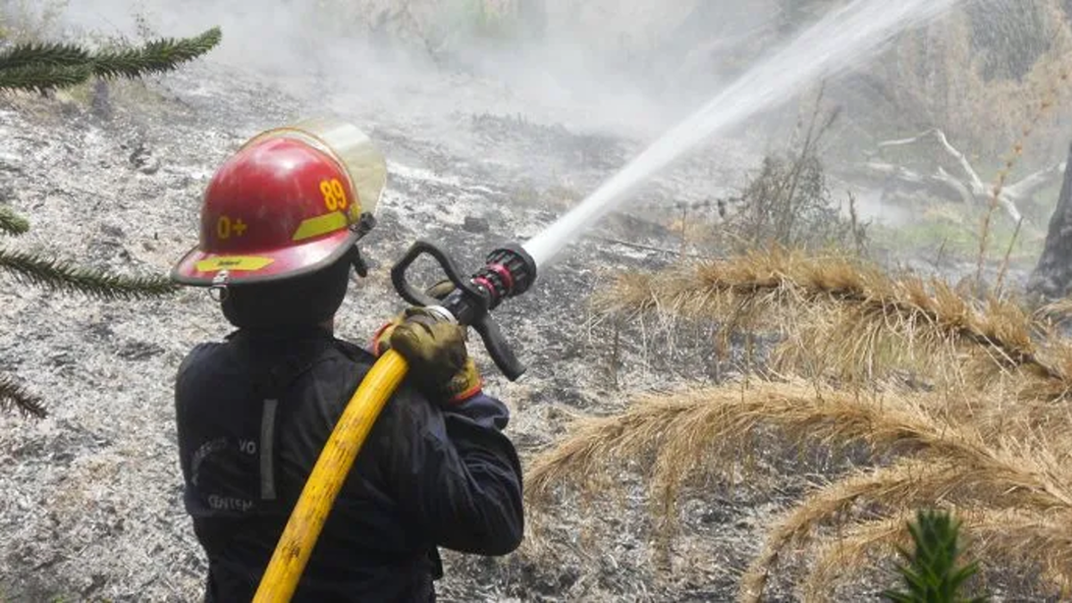 Prohíben hacer fuego al aire libre en Neuquén: ¿por cuánto tiempo? thumbnail