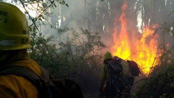 brigadistas rionegrinos combatiran el incendio en el amazonas brigadistas rionegrinos combatiran el incendio en el amazonas