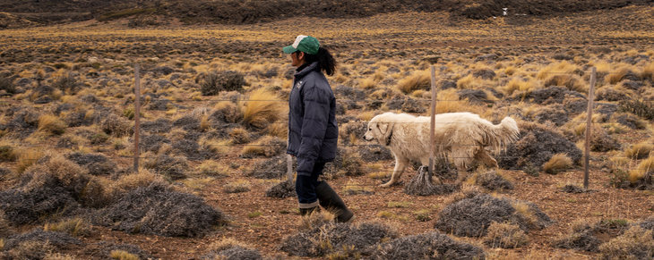 El 48% de los productores patagónicos sobrevive en menos del 1% de la superficie total de la región. El 48% de los productores patagónicos sobrevive en menos del 1% de la superficie total de la región.
