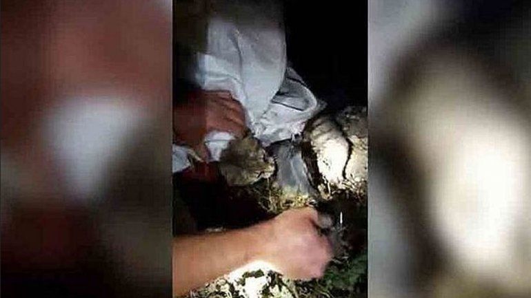 Los presos usaban esos teléfonos para dirigir operaciones criminales.