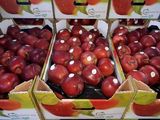 Polonia está reconvirtiedo sus explotaciones y cada año envía más fruta la mercado en fresco.