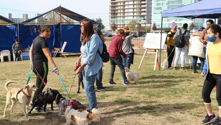 Feria Animalada: adoptá una mascota y disfrutá de una caminata recreativa