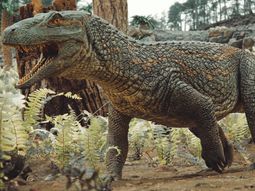 El “Tainrakuasuchus bellator” hallado en Brasil es un antepasado directo de los cocodrilos modernos, según los investigadores. El “Tainrakuasuchus bellator” hallado en Brasil es un antepasado directo de los cocodrilos modernos, según los investigadores.