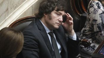 Javier Milei ve con malos ojos los índices de la inversión real. Aún no hubo repercusiones oficiales. Javier Milei ve con malos ojos los índices de la inversión real. Aún no hubo repercusiones oficiales.