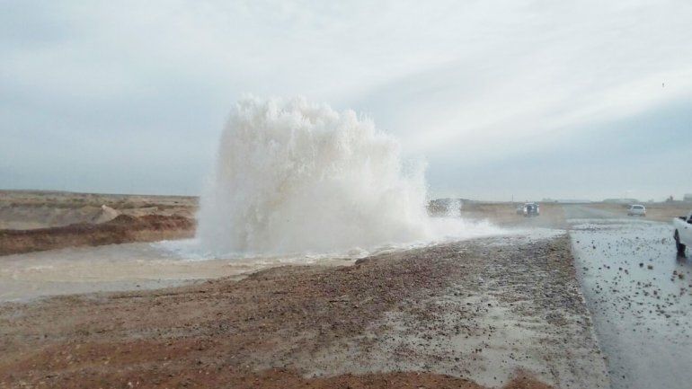 El hongo de agua fue captado por un lector de LMN ayer por la tarde.