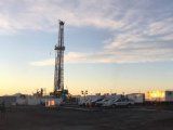 La apuesta de Mendoza a la lengua de Vaca Muerta