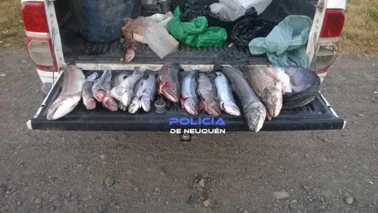 Guardafaunas secuestraron 20 truchas arco iris y armas para la caza furtiva