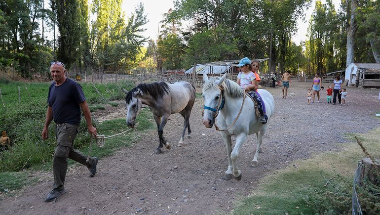 Es docente jubilado y transformó su chacra en un original camping: dormis, pileta y animales para visitar